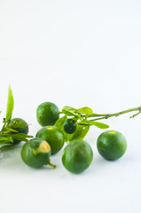 Lime. Fresh fruit with leaf isolated on white background.
