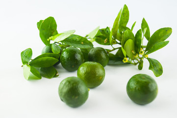 Lime. Fresh fruit with leaf isolated on white background.
