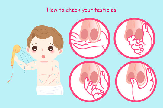 check your testicles