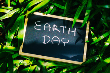 earth day concept, earth day word writing on chalkboard with nature green leaves background