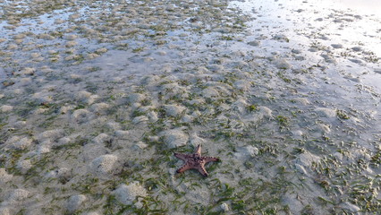 View at Bagunbanua Island, Philippines