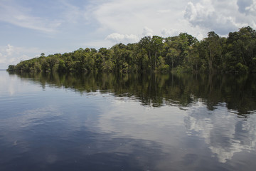 Traveling through 'Rio Negro' river by boat. Sunny day with blue sky and clouds, reflections in the water. Amazon / Brazil