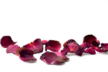 Dry petal of rose isolated on white background