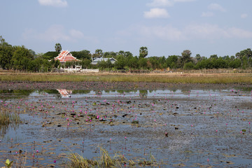 Banteay Chhaar Cambodia, rural scene of building across lake