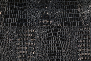 abstract background of crocodile skin
