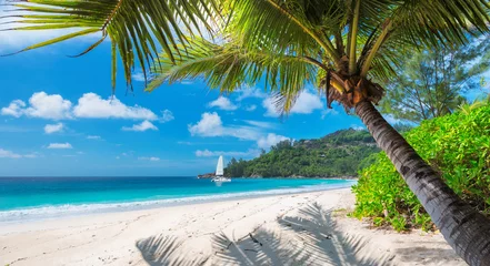 Deurstickers Sandy beach with palm trees and a sailing boat in the turquoise sea on Paradise island. Fashion travel and tropical beach concept.  © lucky-photo