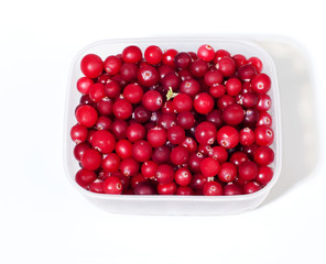 cranberries are fresh in the container
