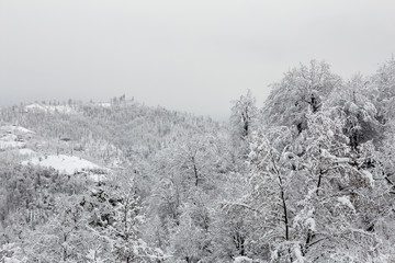 Obraz premium Winter in Talesh, Gilan, Iran