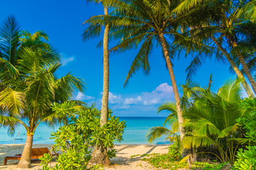 Fototapeta premium Beautiful tropical beach and sea