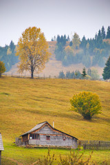 Autumn scenery landscape with colorful forest, wood fence and hay barns in Prisaca Dornei, Suceava County, Bucovina, Romania