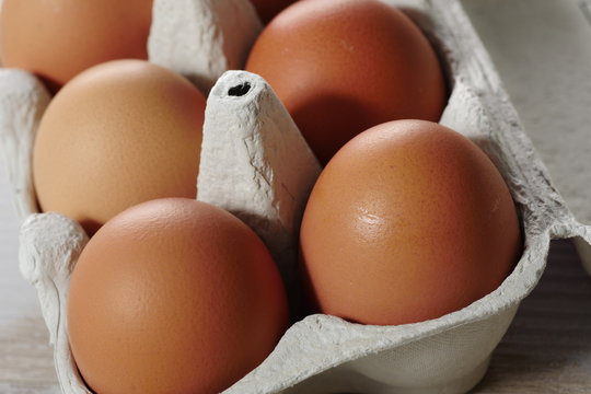Eggs in the egg panel