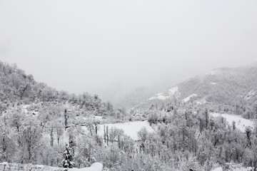 Fototapeta premium Winter in Talesh, Gilan, Iran