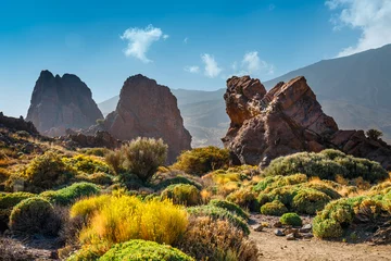 Foto op Canvas Roques de Garcia and El Teide Volcano, Tenerife Island, Spain © dziewul