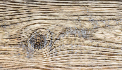 closeup background of Yellow wood texture