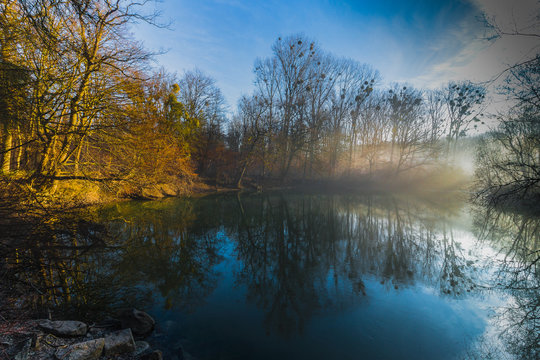 Rhein, auen ,w&ouml;rth ,fr&uuml;hnebel,nebel ,landschaft ,wasser,b&auml;ume,winter,gold, blau