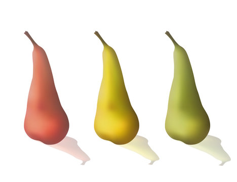 Set of colorful pears. Sweet fruit. Vector illustration. Dietary food