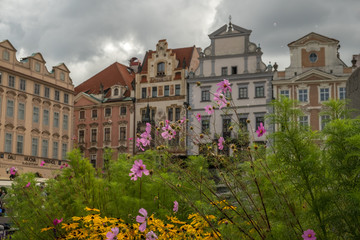 Fototapeta na wymiar Flowers by Jan Hus Monument Prague