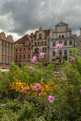Flowers by Jan Hus Monument Prague
