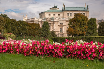 Fototapeta na wymiar Flowers in Volksgarten Vienna