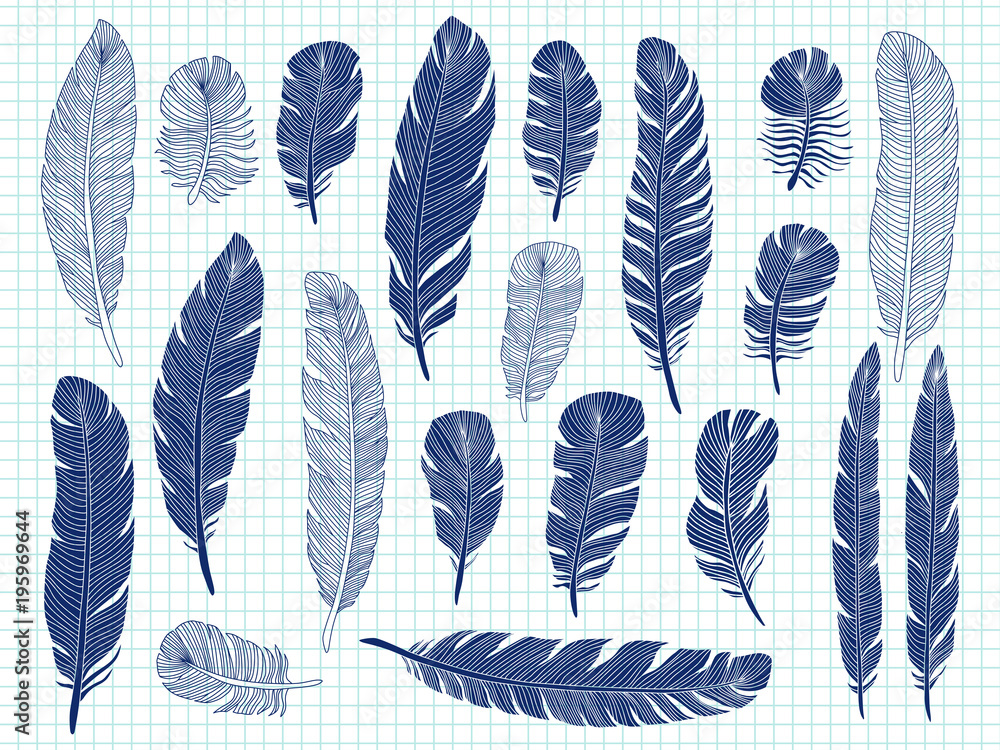 Poster ballpoint pen drawing bird feathers big set on notebook background