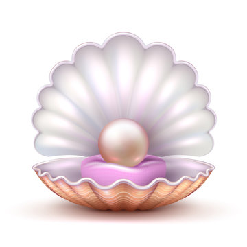Open oyster sea shell with valuable pearl isolated. Realistic 3d vector illustration