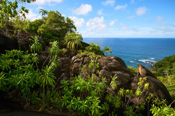 Anse major trail, hiking on nature trail of Mahe, Seychelles