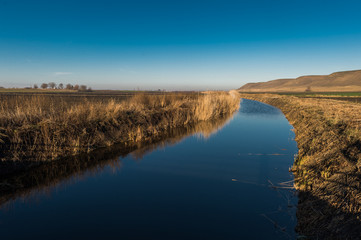 Agricultural landscape, arable crop fields