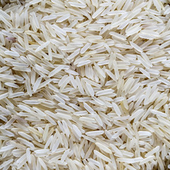 rice, rice grains
