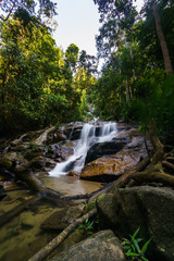 scenery of tropical forest waterfall