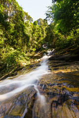 scenery of tropical forest waterfall
