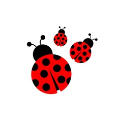 Fototapeta premium Ladybug icon vector