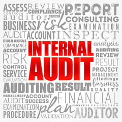 Internal Audit word cloud collage, business concept background
