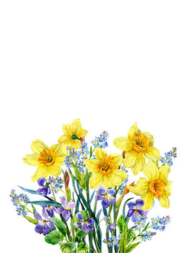 Bouquet of violets, forget-me-nots and daffolias. Spring flowers. Watercolor.