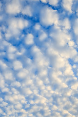 Fototapeta premium Cloudscape with stratocumulus clouds, clouds texture. Nature background.