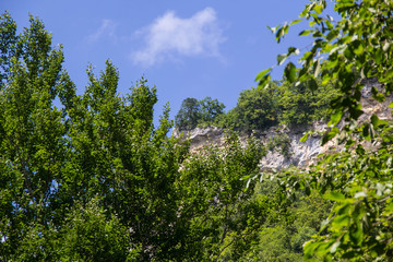 Fototapeta premium Mountains and forest under light blue sky with clouds