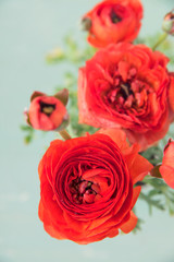 赤いラナンキュラス