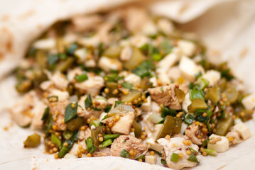tasty  snack of  pita stuffed with sliced cooked chicken, cheese, pickled cucumbers, green onions, mustard and soy sauce