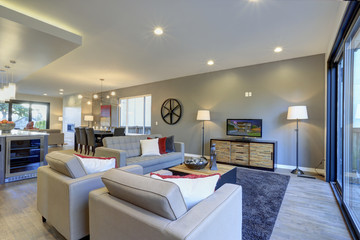 White and gray Living room interior in neutral tones.