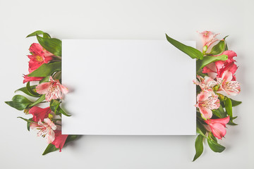 top view of blank card and beautiful pink flowers on grey