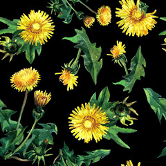Seamless pattern of dandelion flowers painted in watercolor.