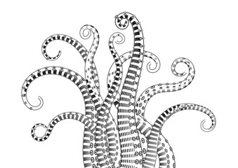 Hand Drawn Tentacle Illustrations