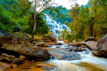 Water fall scenery wildlife at Doi Inthanon, Chiang Mai Province, Thailand