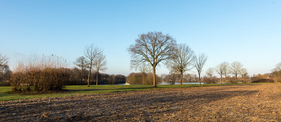 landscape in winter with trees and field