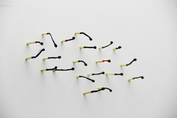 A bunch of burnt and whole matches on a white background