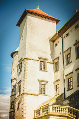View of Nowy Wisnicz castle, Poland