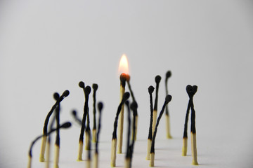 A bunch of burnt and whole matches on a white background