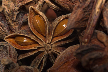 star anise close-up