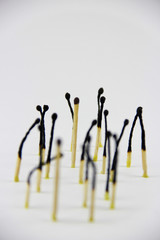 A bunch of burnt and whole matches on a white background