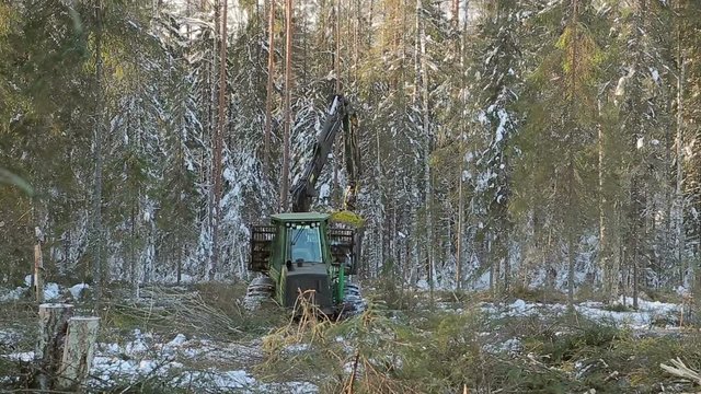 work skidder logging in winter