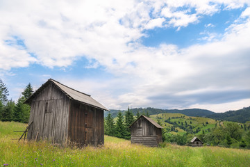 Wooden cottages in a line on a blooming meadow